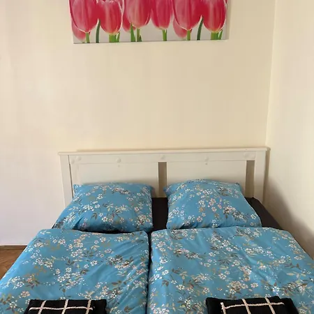 King-size Homestay *